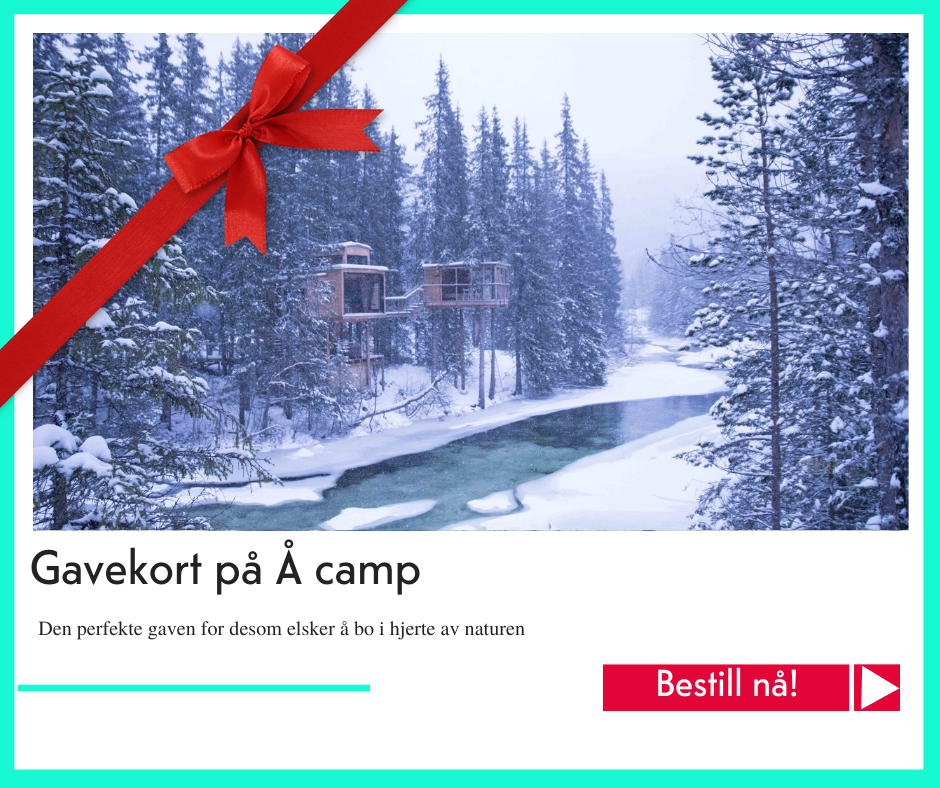 julegavetips Å Camp