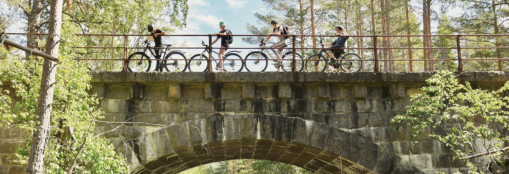gruppe barn med sykler står på en bro