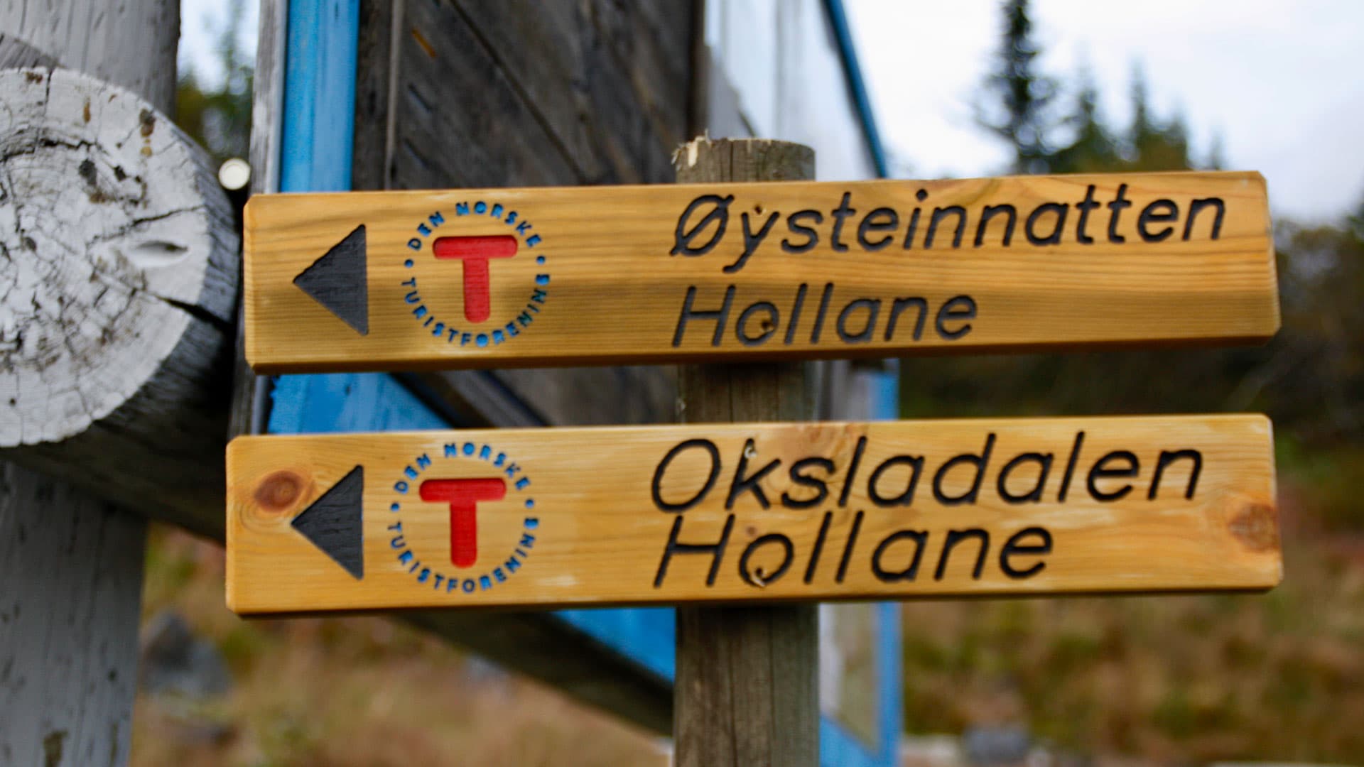 Lifjelltunet
