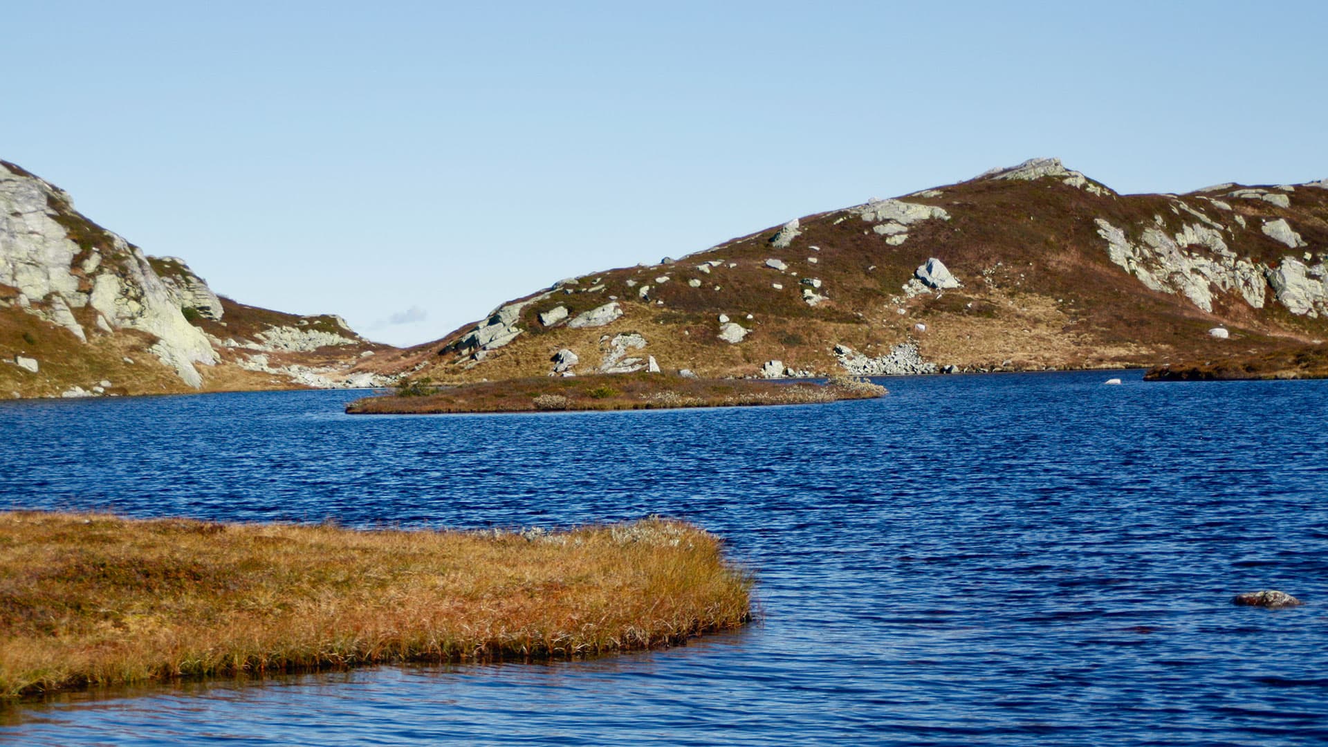 Lifjelltunet