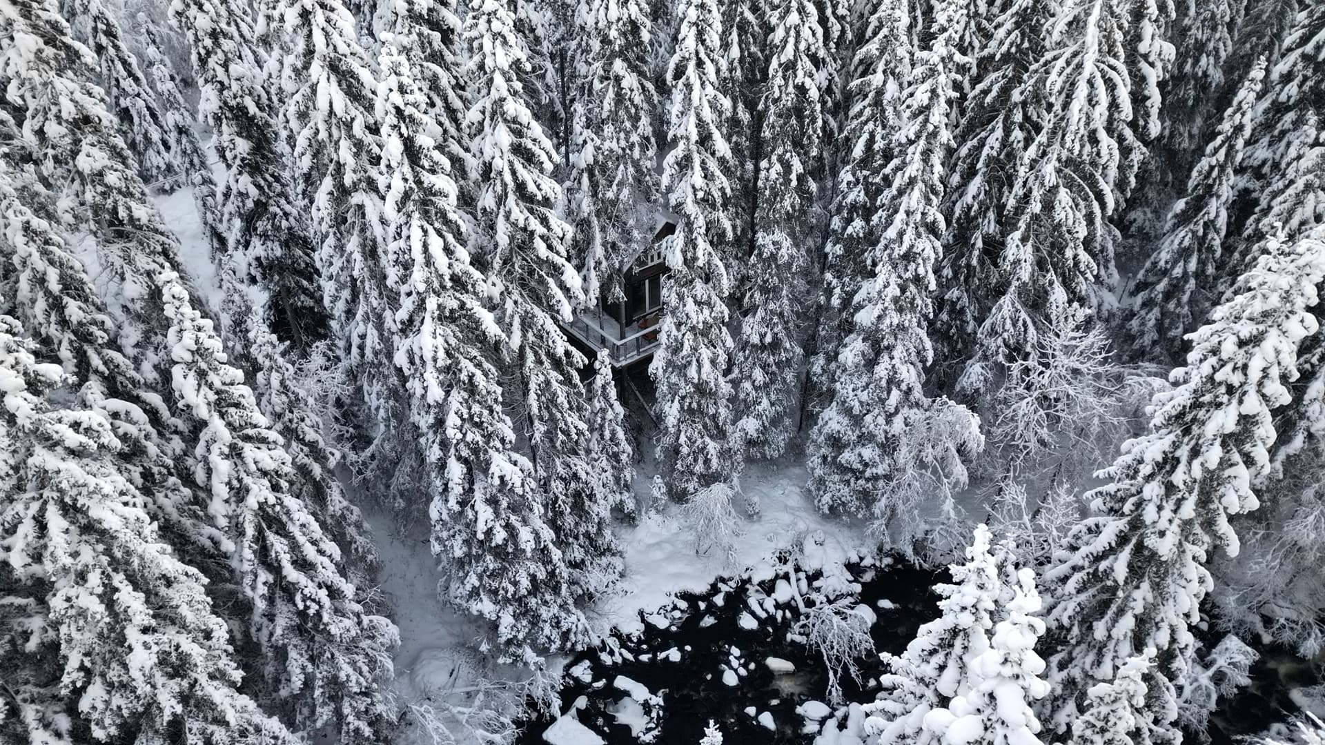 Lårdal Tretopphytter