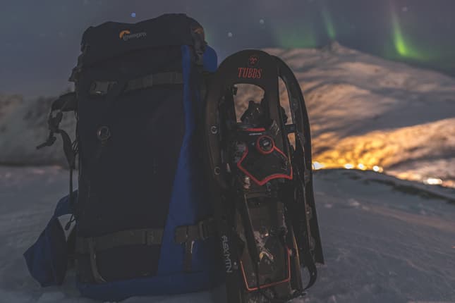 NATTUR I VILLMARKA - Vinter