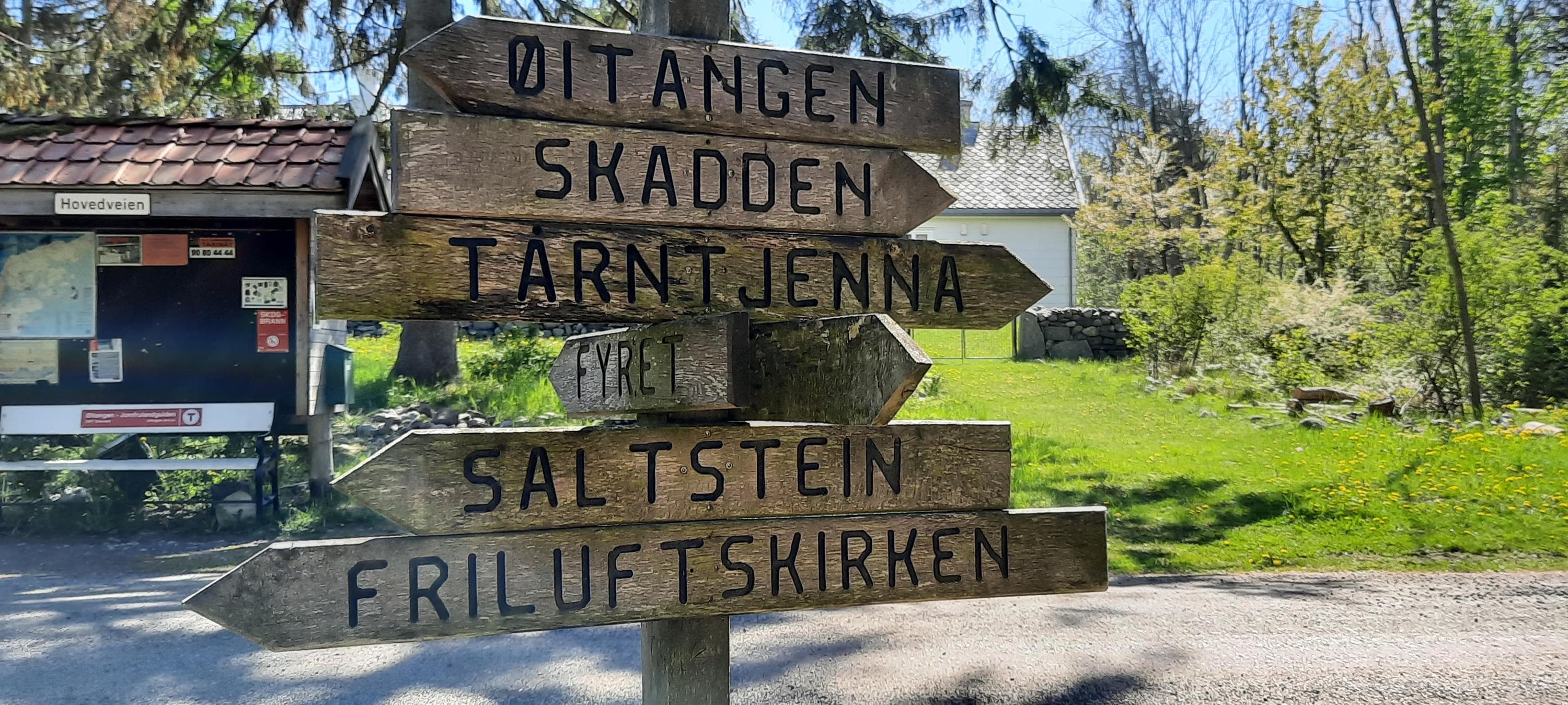 Hovedbilde