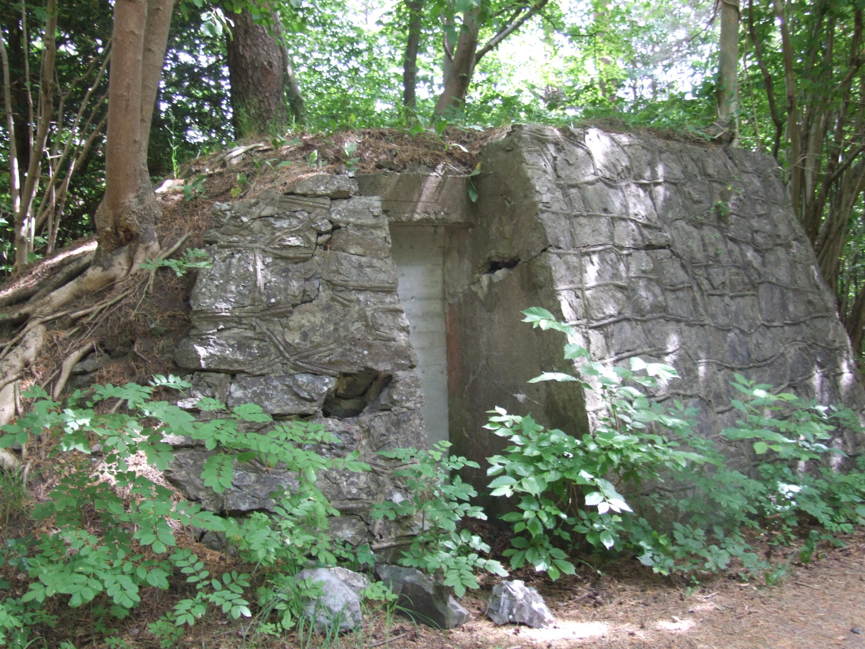 Hovedbilde