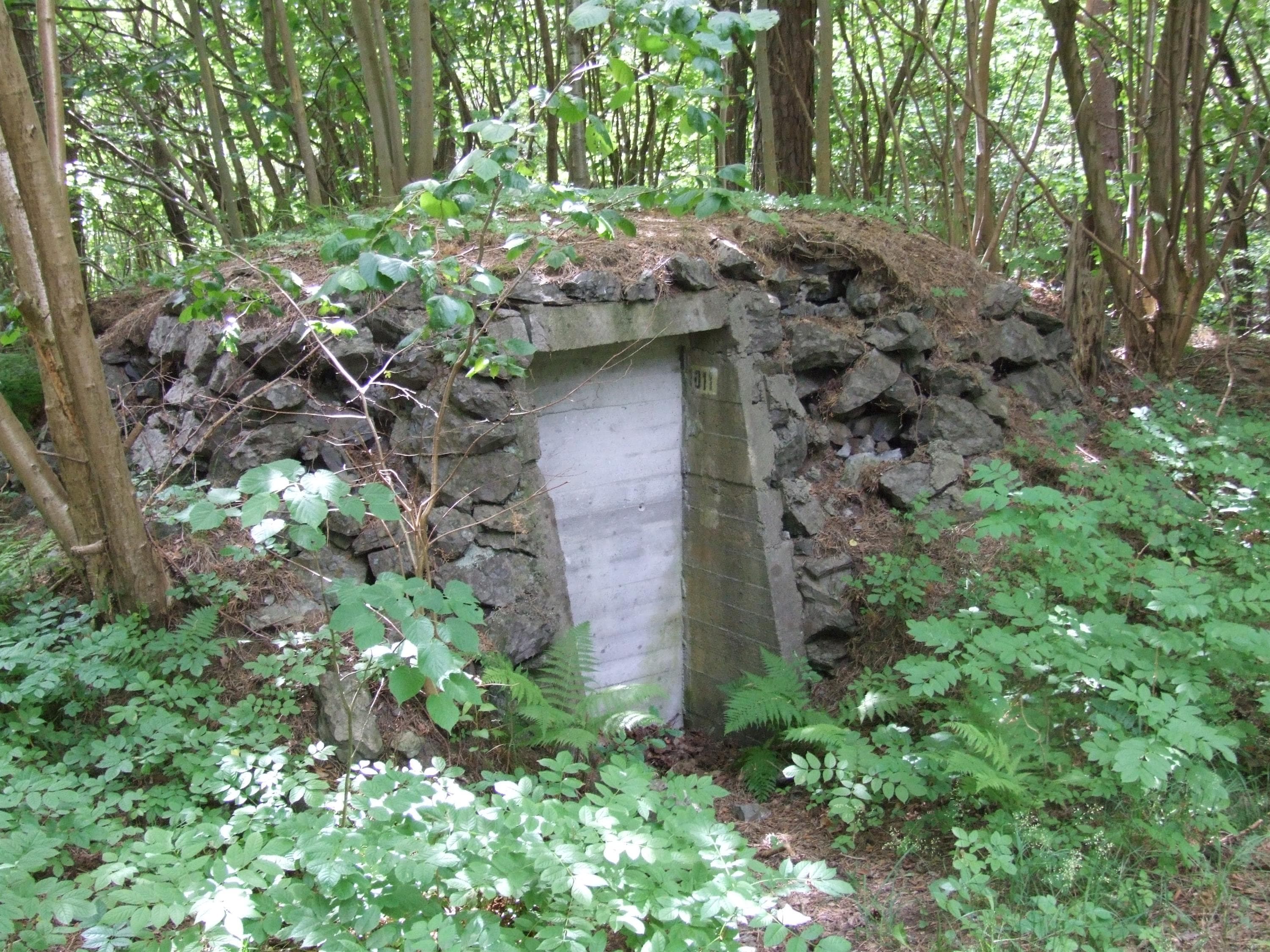Hovedbilde