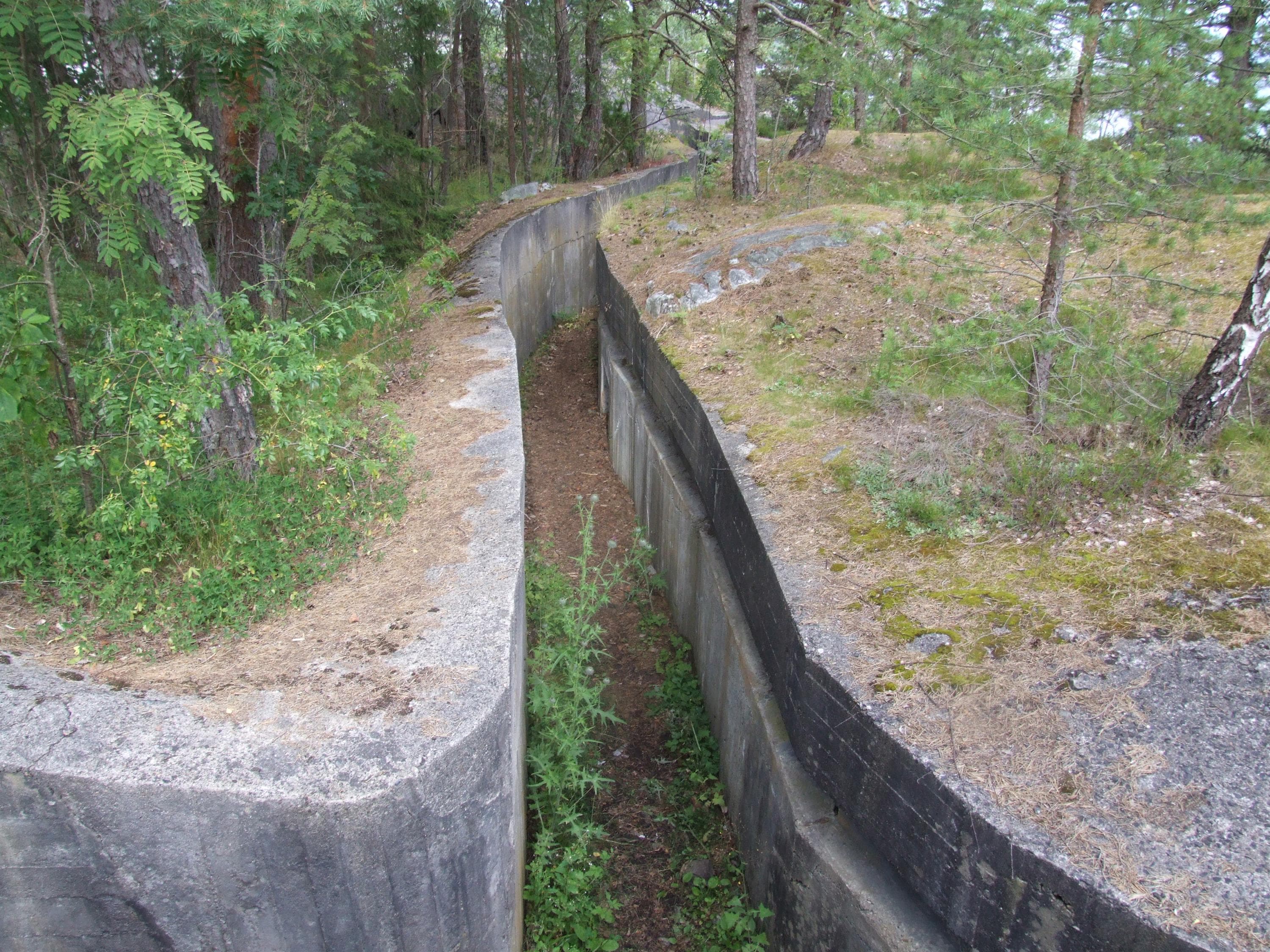 Hovedbilde