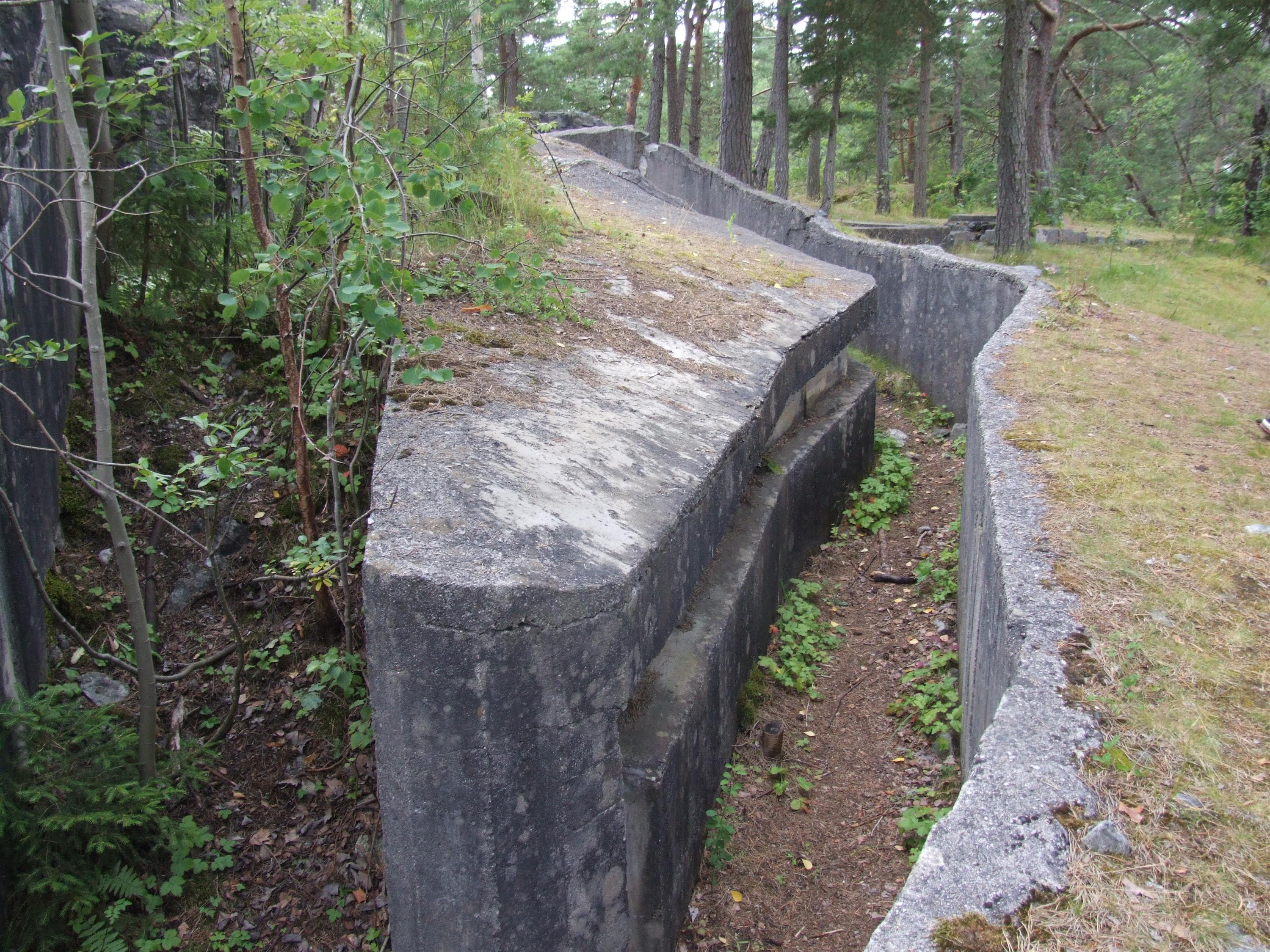 Hovedbilde