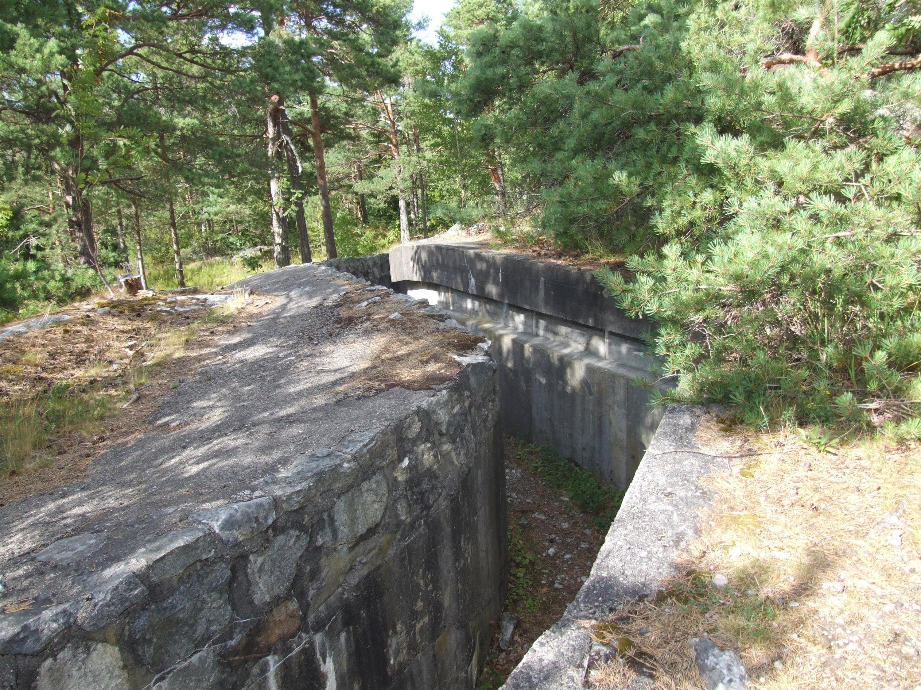 Hovedbilde
