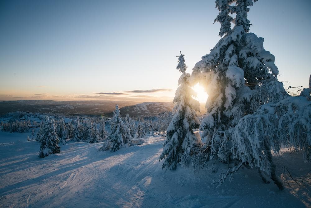 Hovedbilde