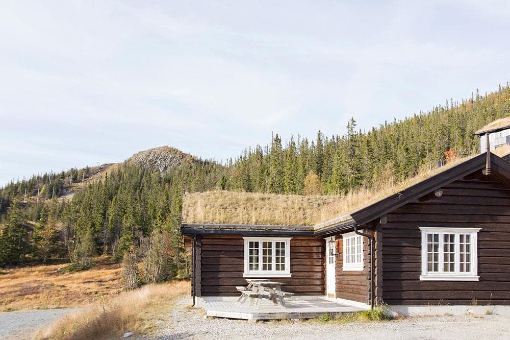 Hovedbilde