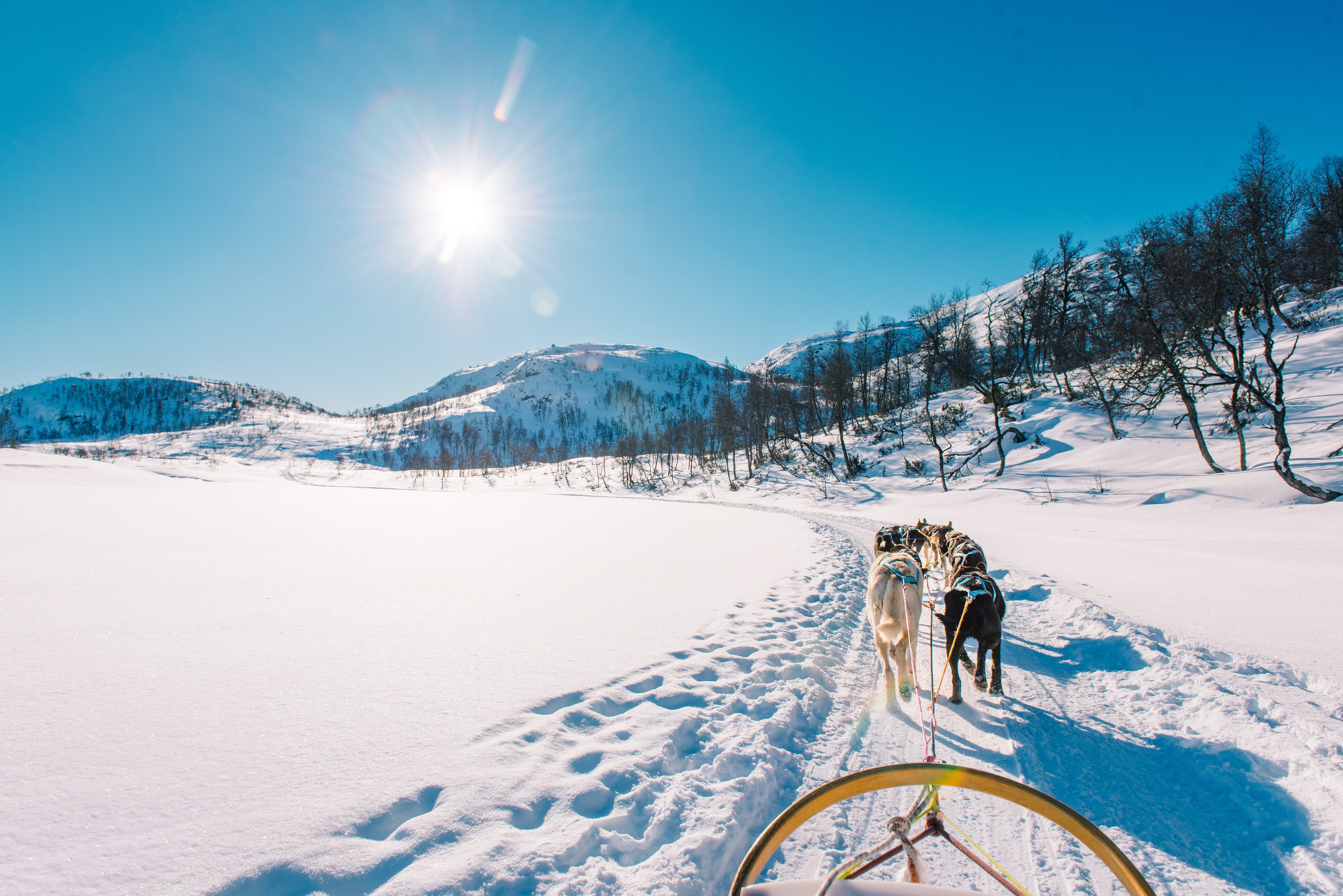 Lei av å gå på ski?