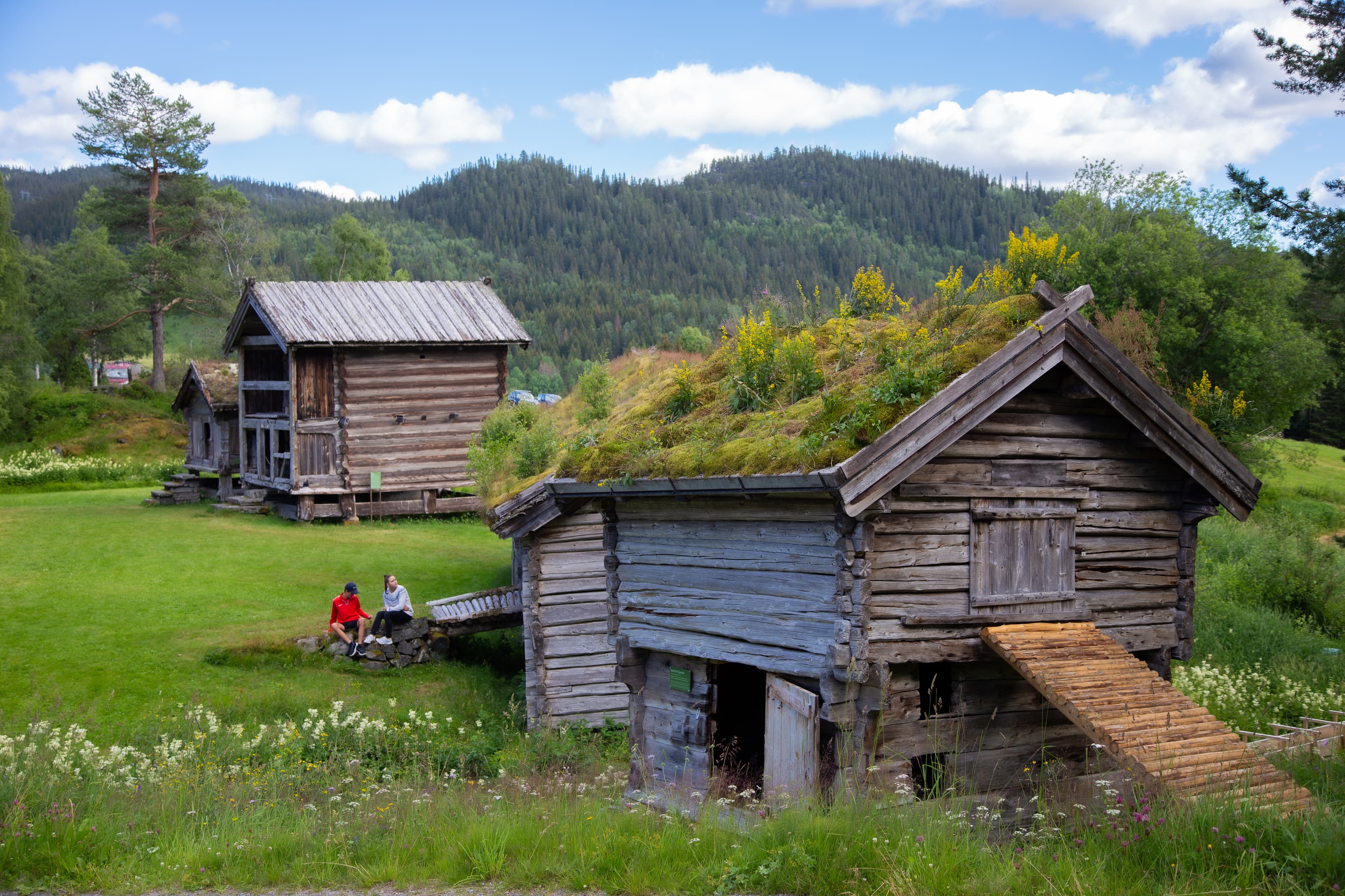 Inngangsbillett - Vest-Telemark Museum med Eidsborg stavkirke