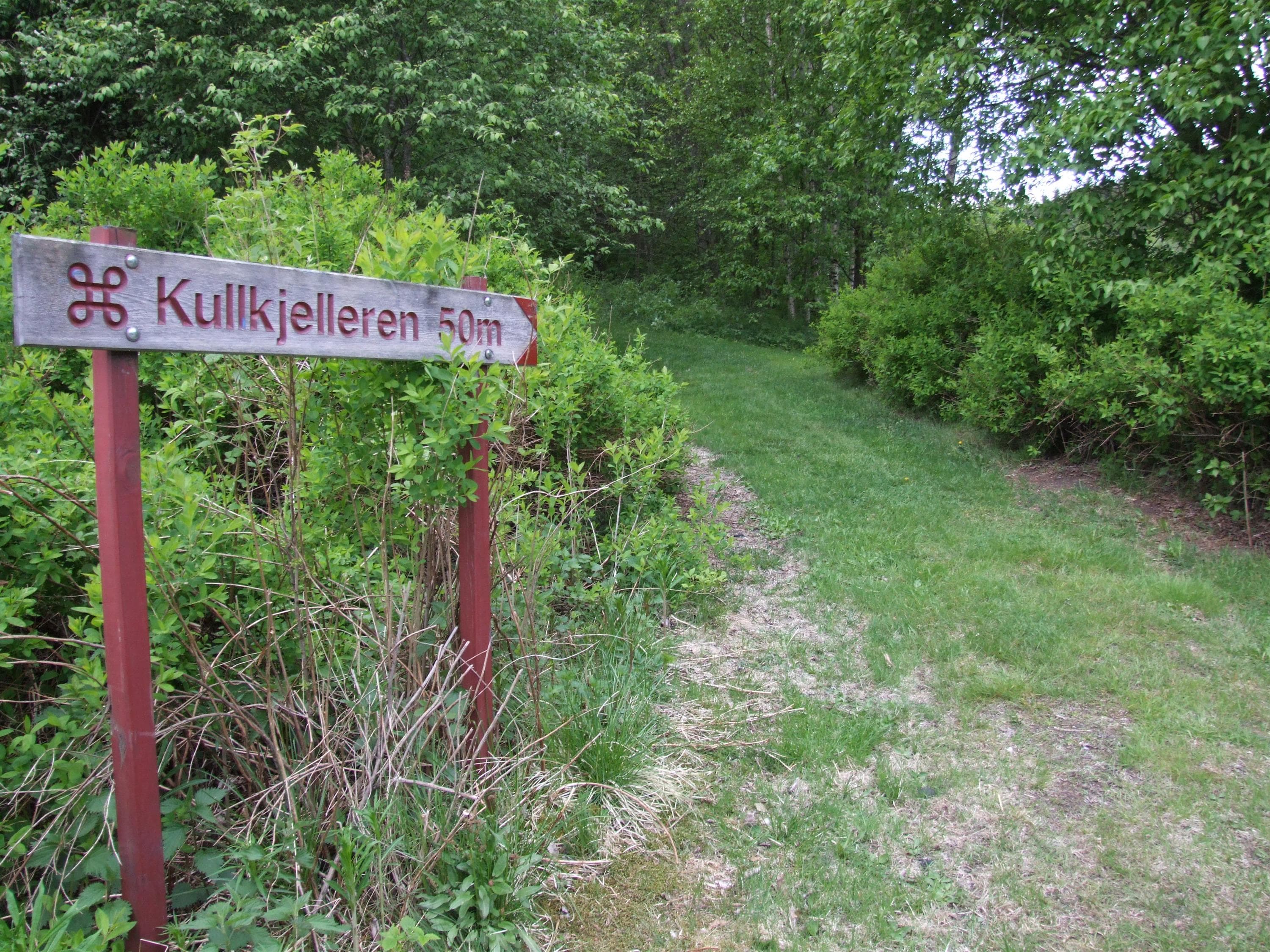 Hovedbilde