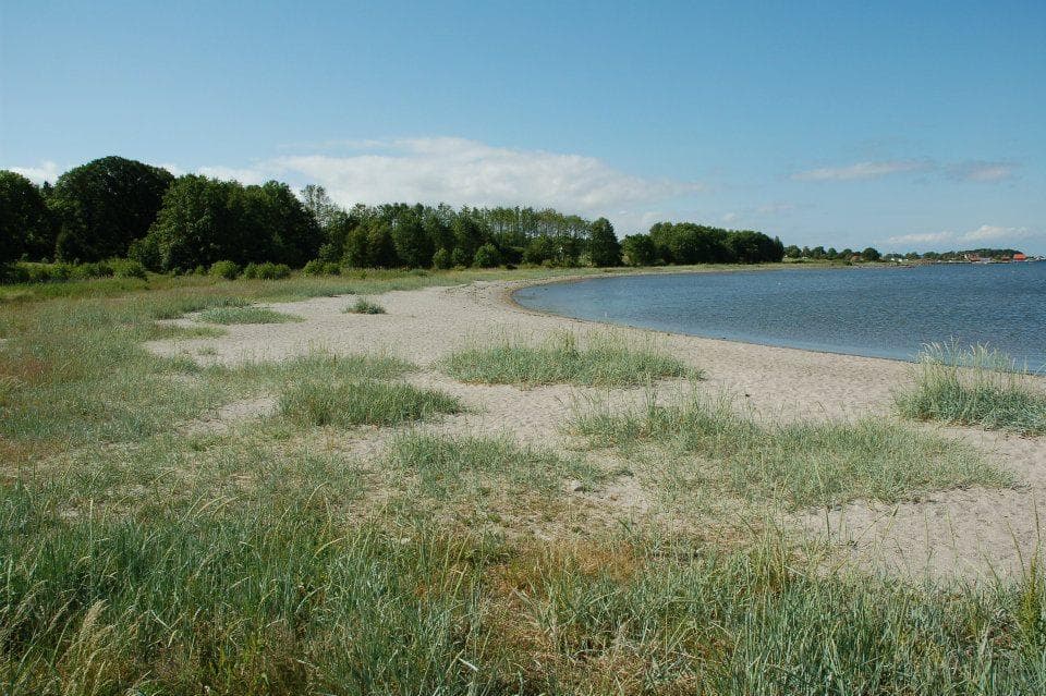 Hovedbilde