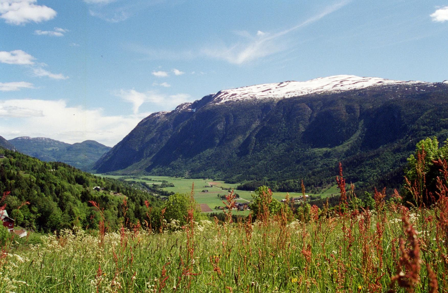 Hovedbilde
