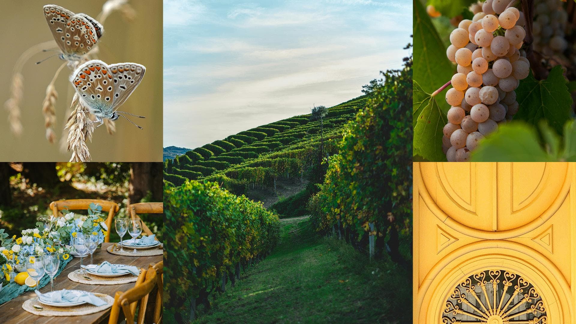 bildecollage vin og italiensk natur