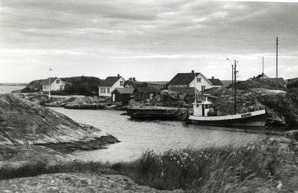 Hovedbilde