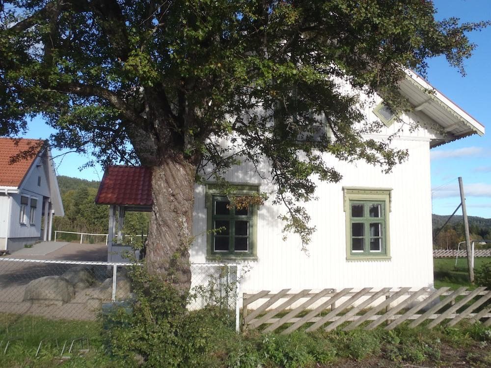 Hovedbilde