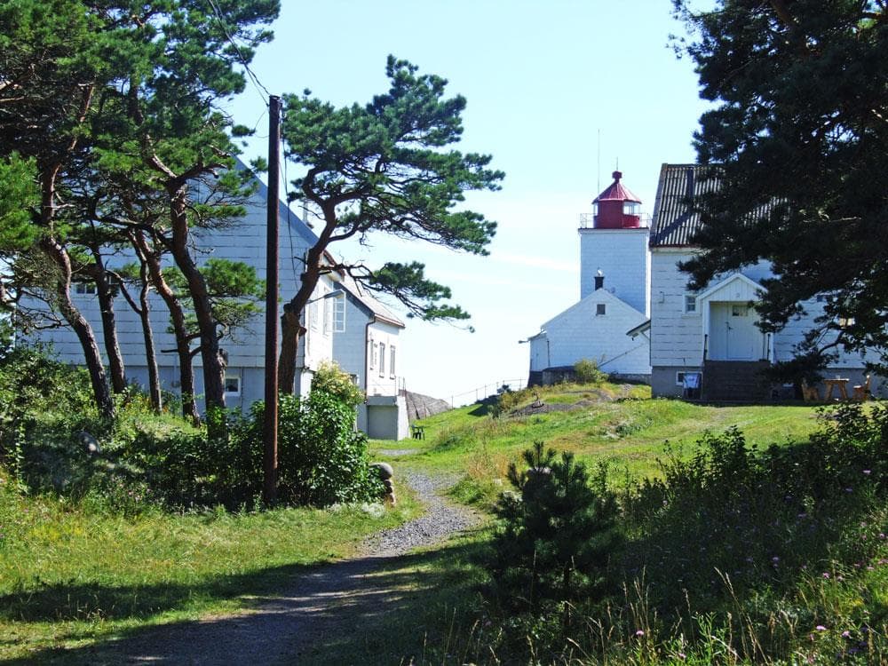 Hovedbilde