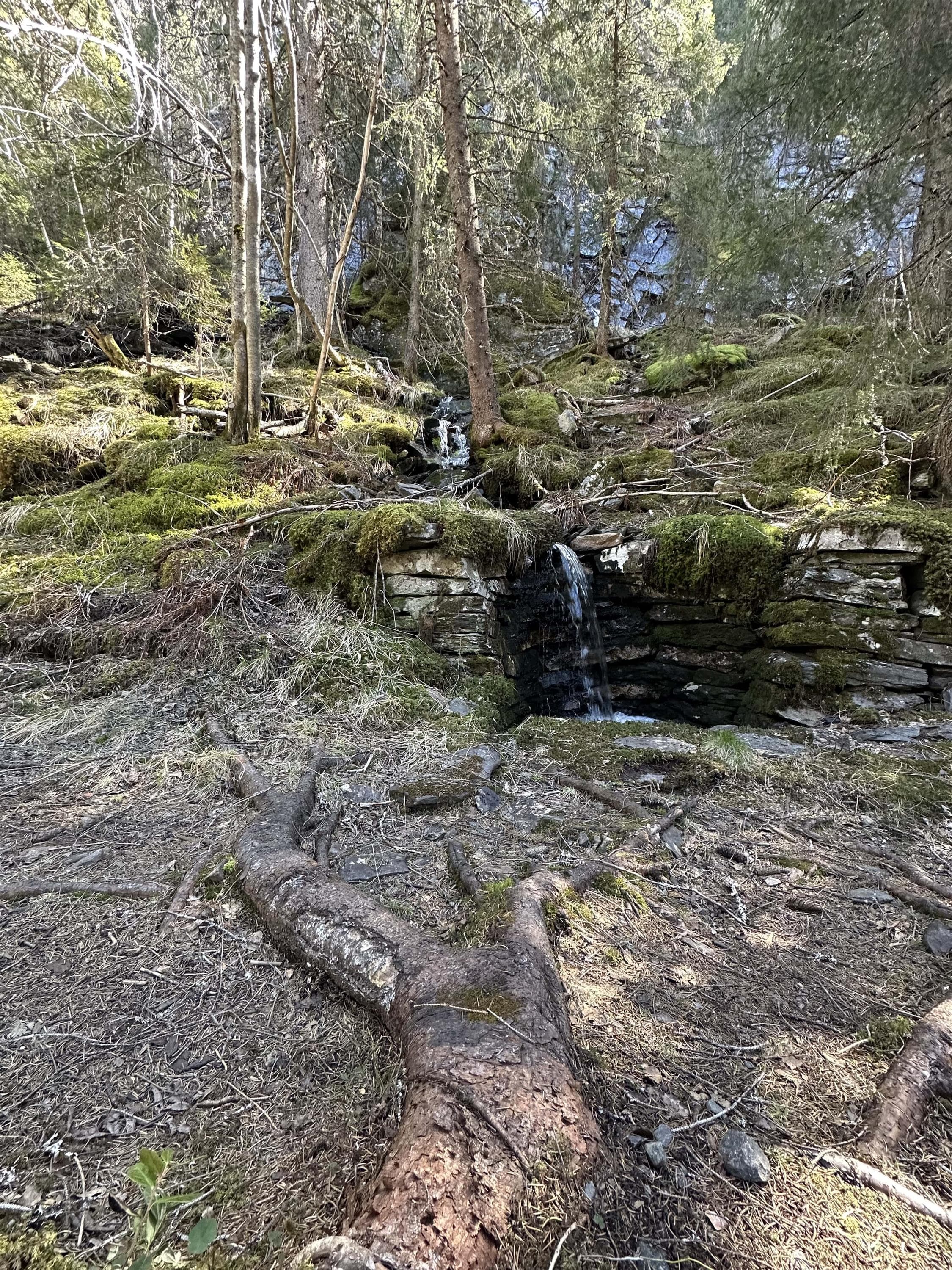 Hovedbilde