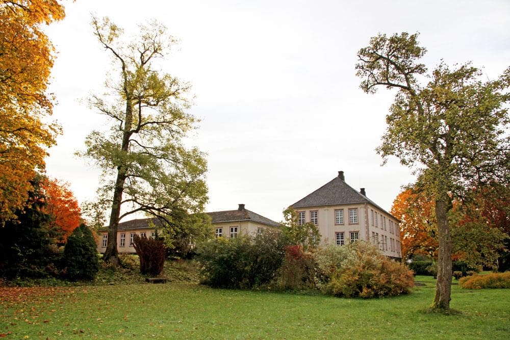 Hovedbilde
