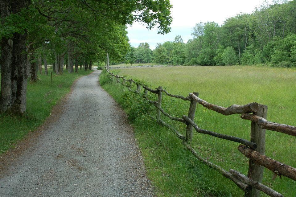 Hovedbilde