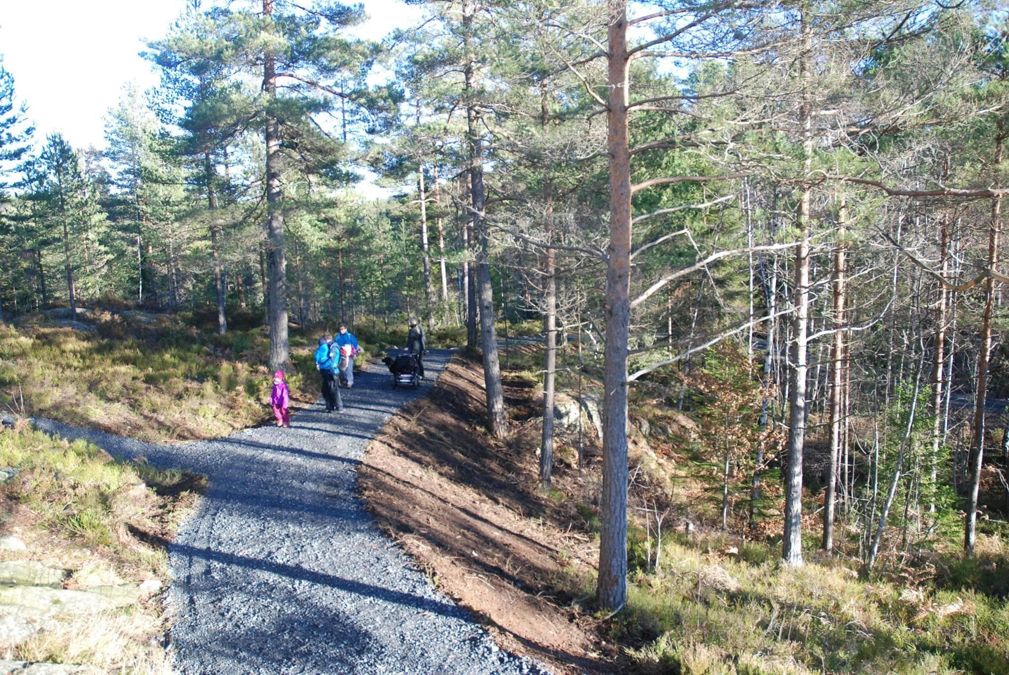 Hovedbilde