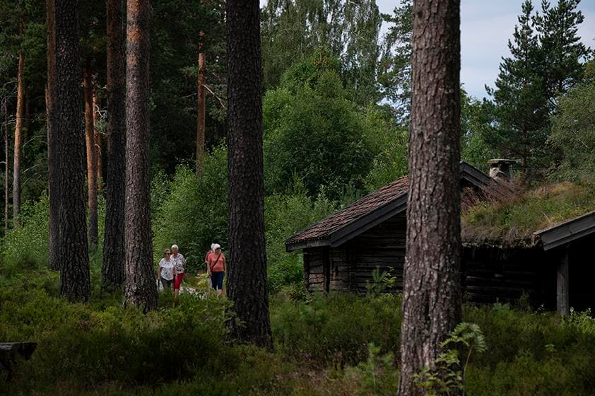 Hovedbilde