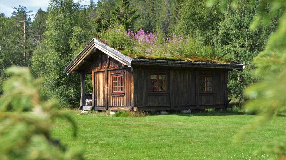 Hovedbilde