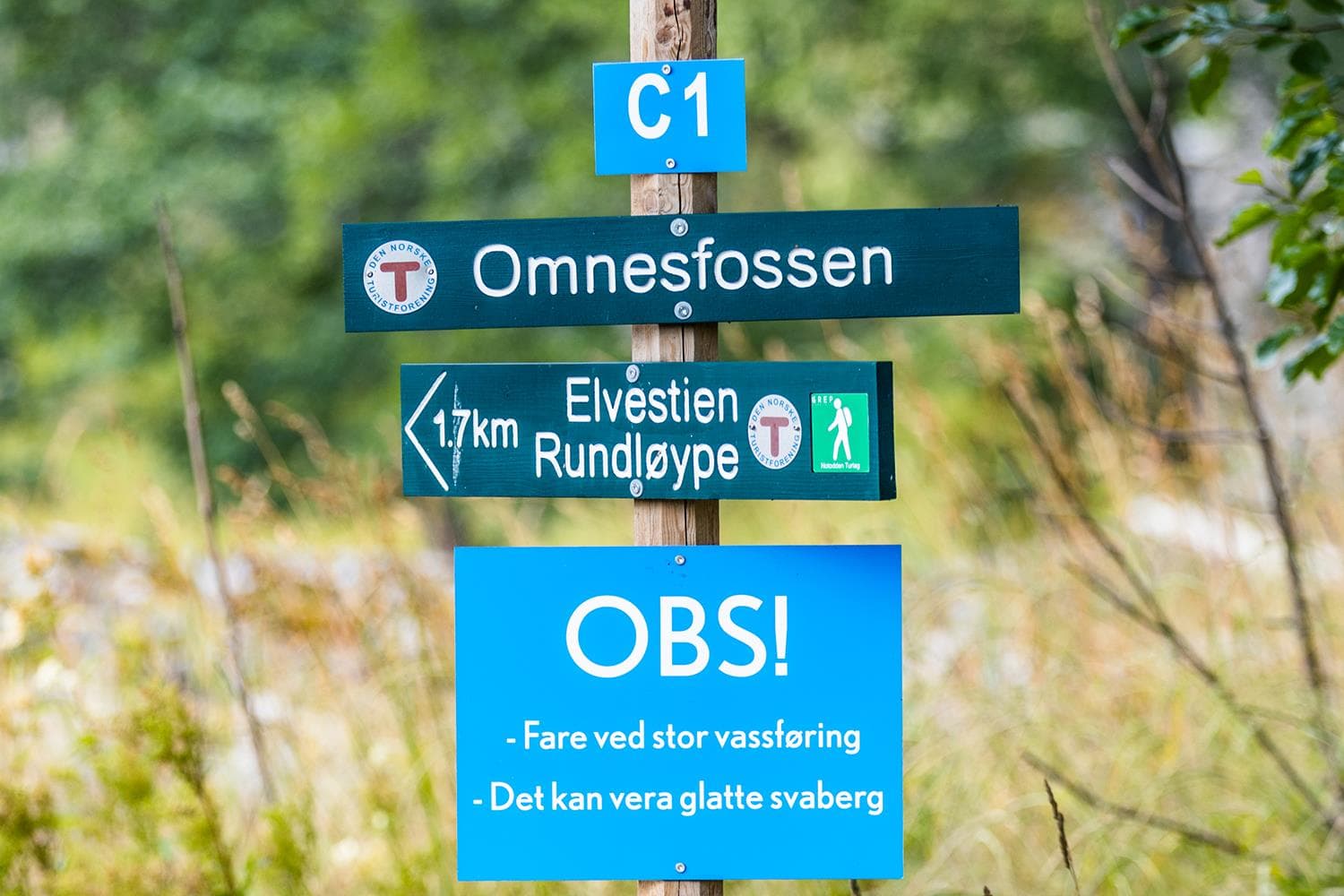 Hovedbilde