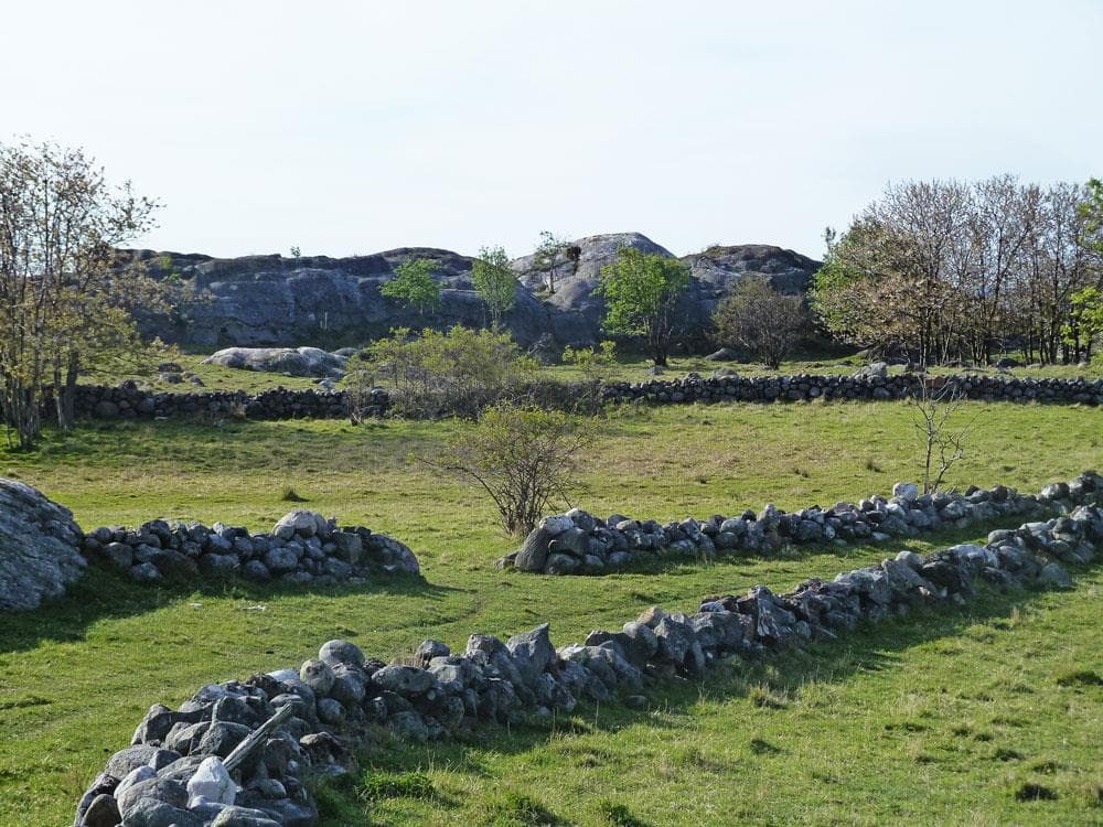 Hovedbilde