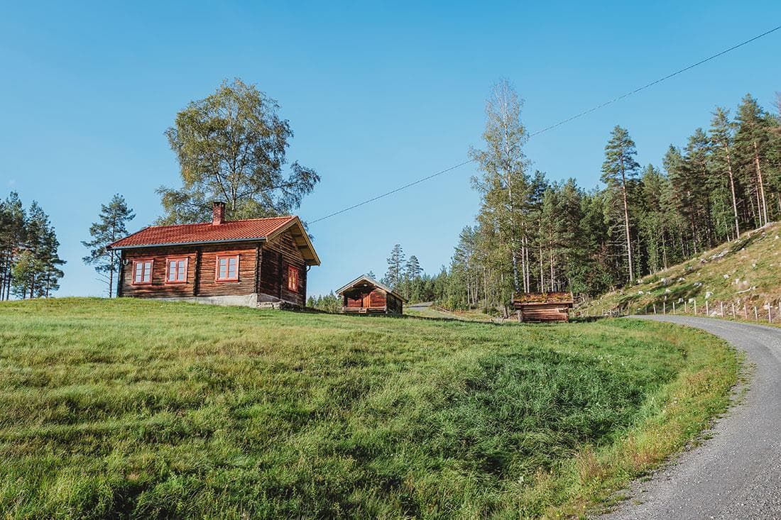 Hovedbilde