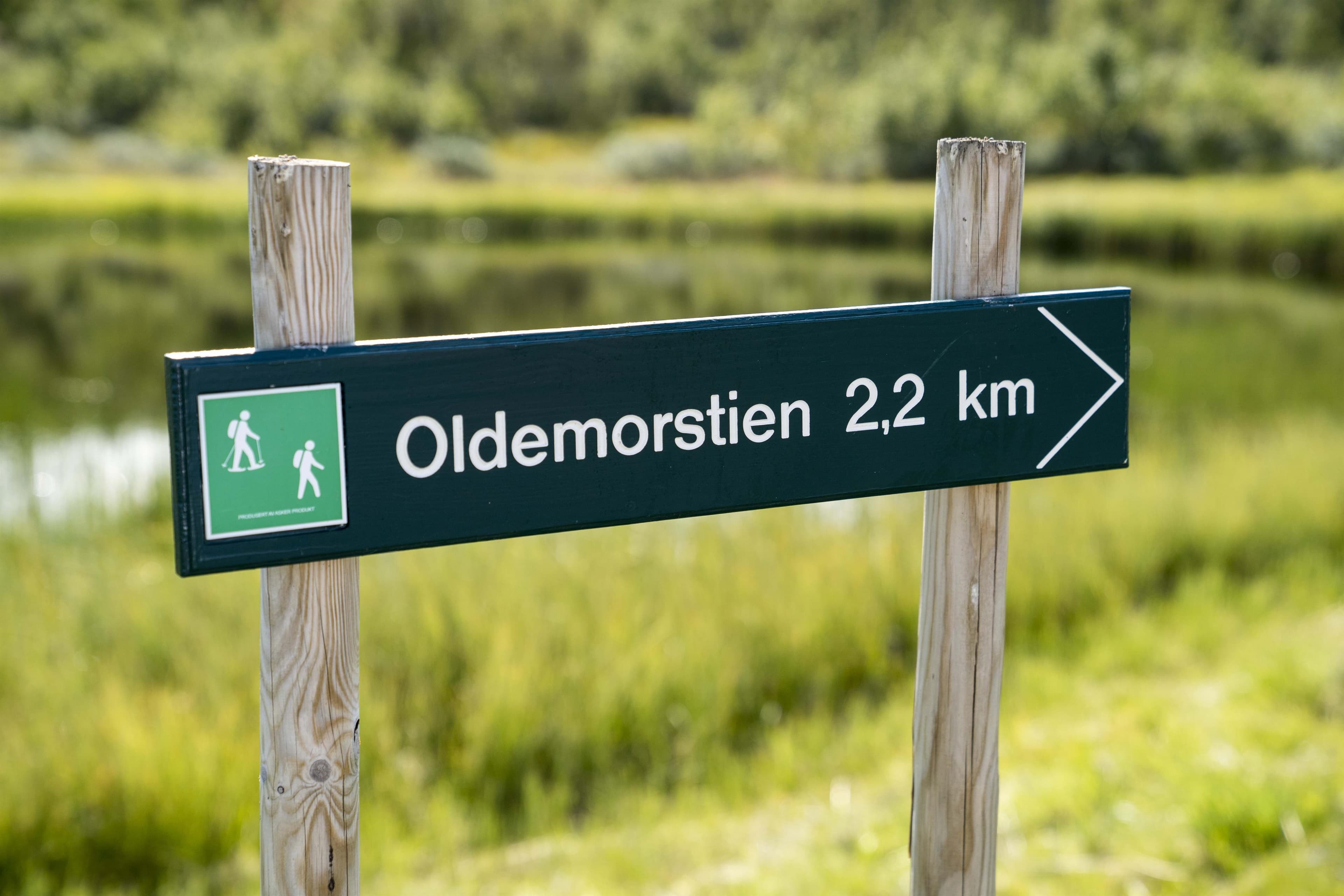 Hovedbilde