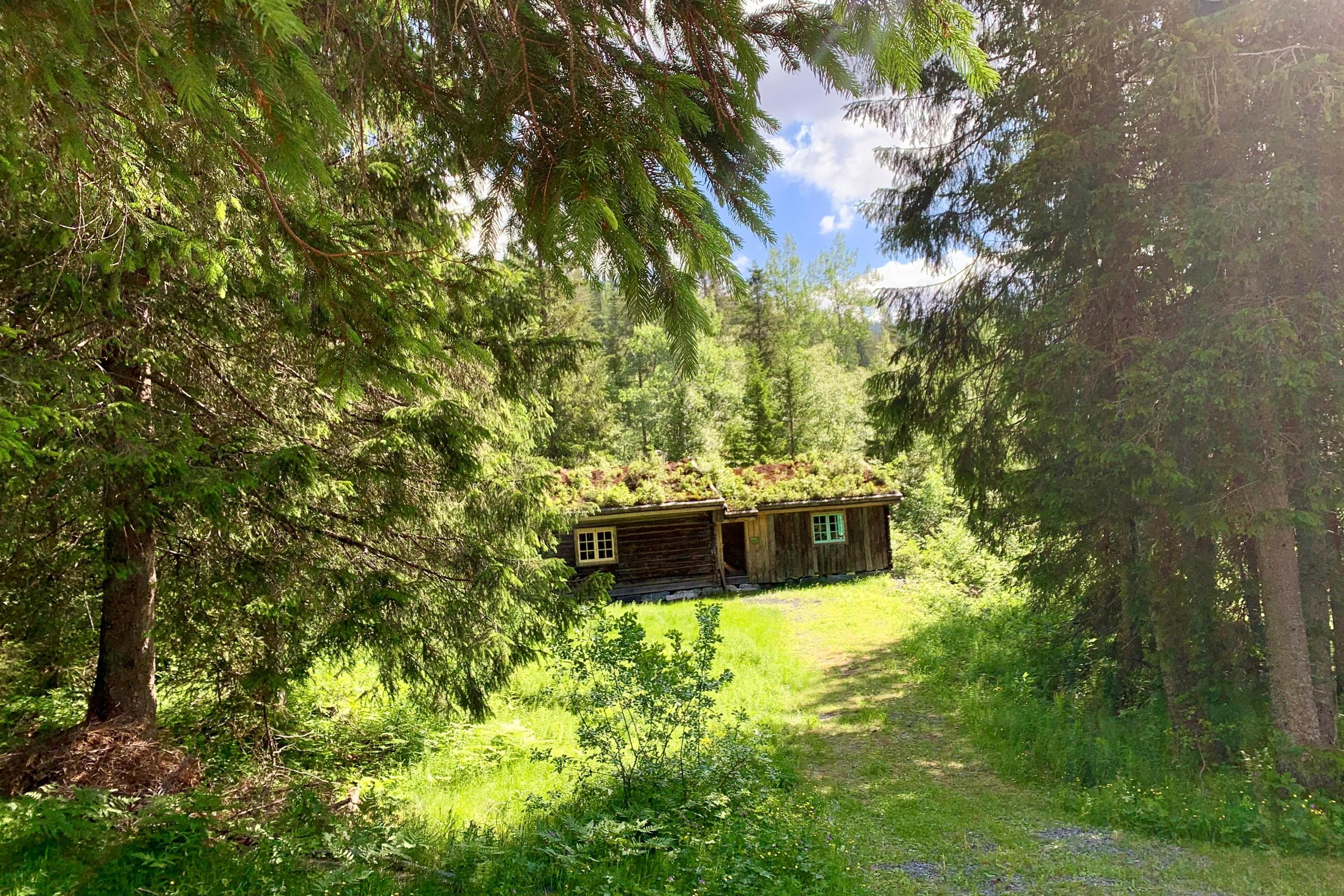 Hovedbilde