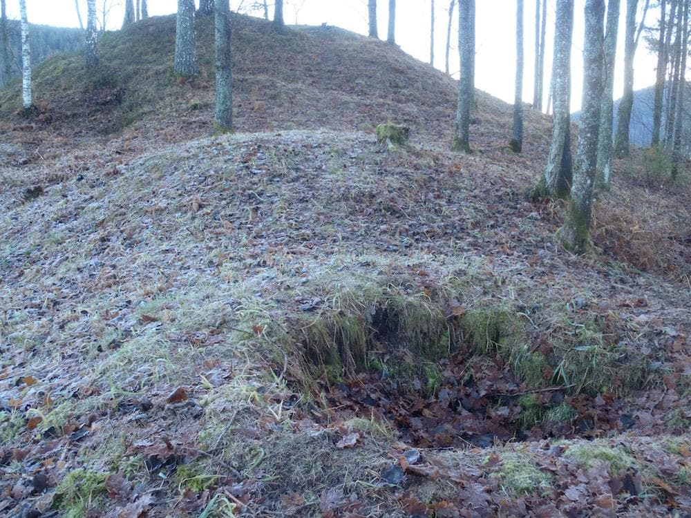 Hovedbilde