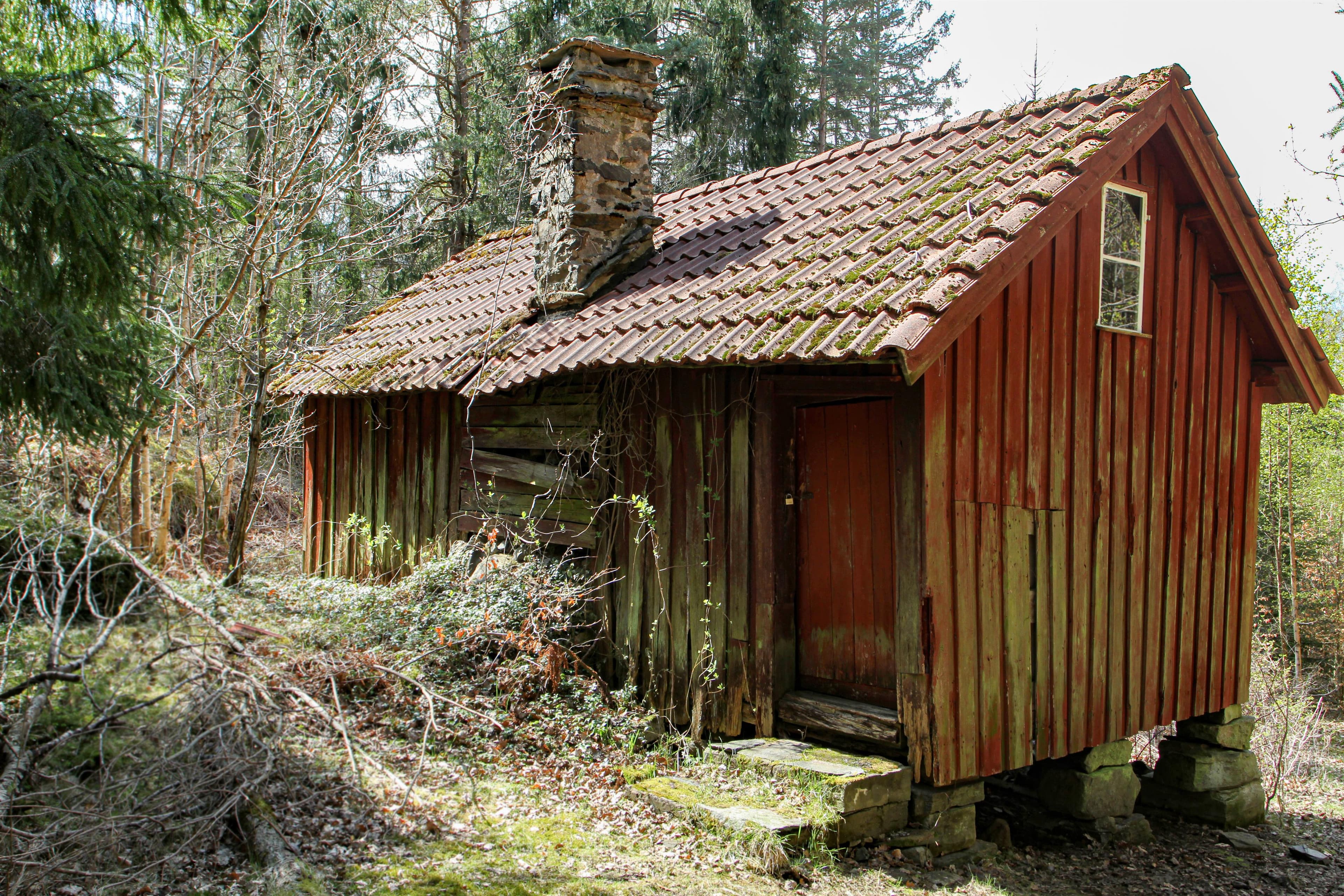 Hovedbilde