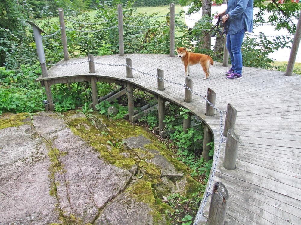 Hovedbilde