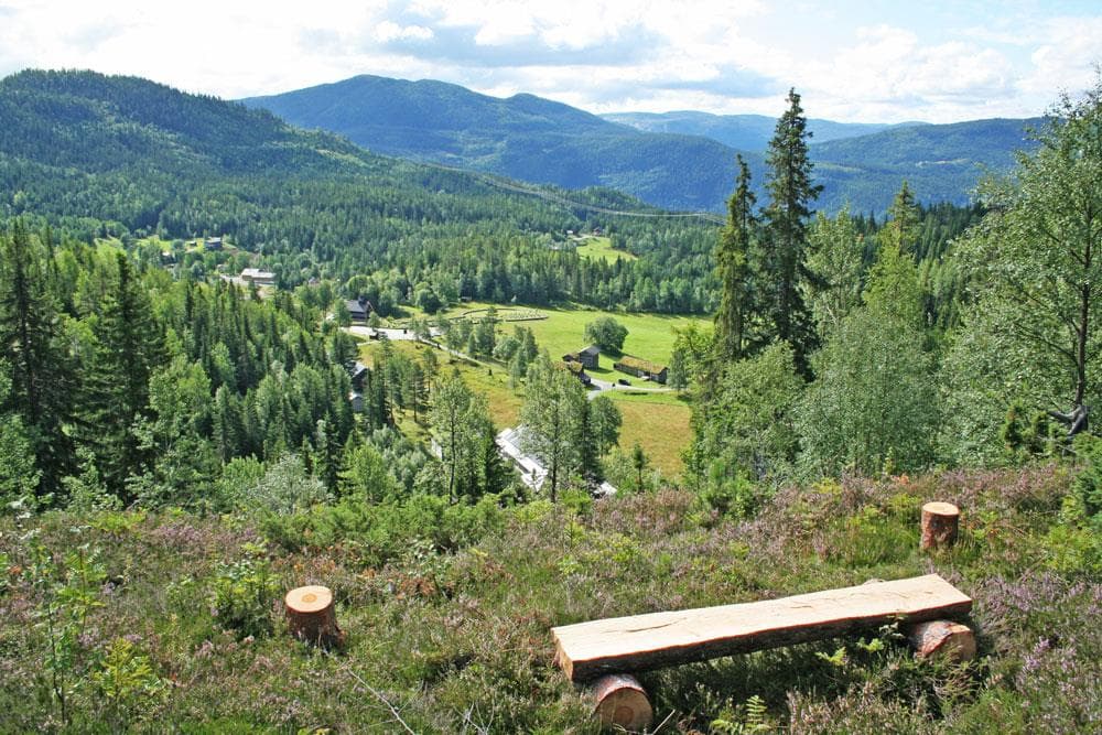Hovedbilde