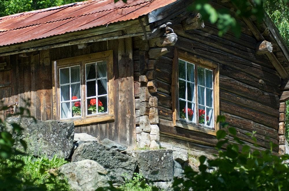 Hovedbilde