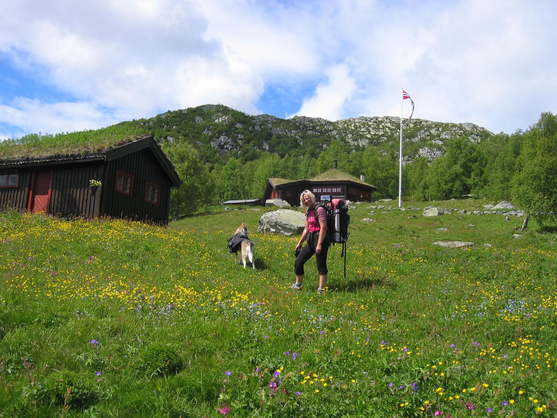 Hovedbilde