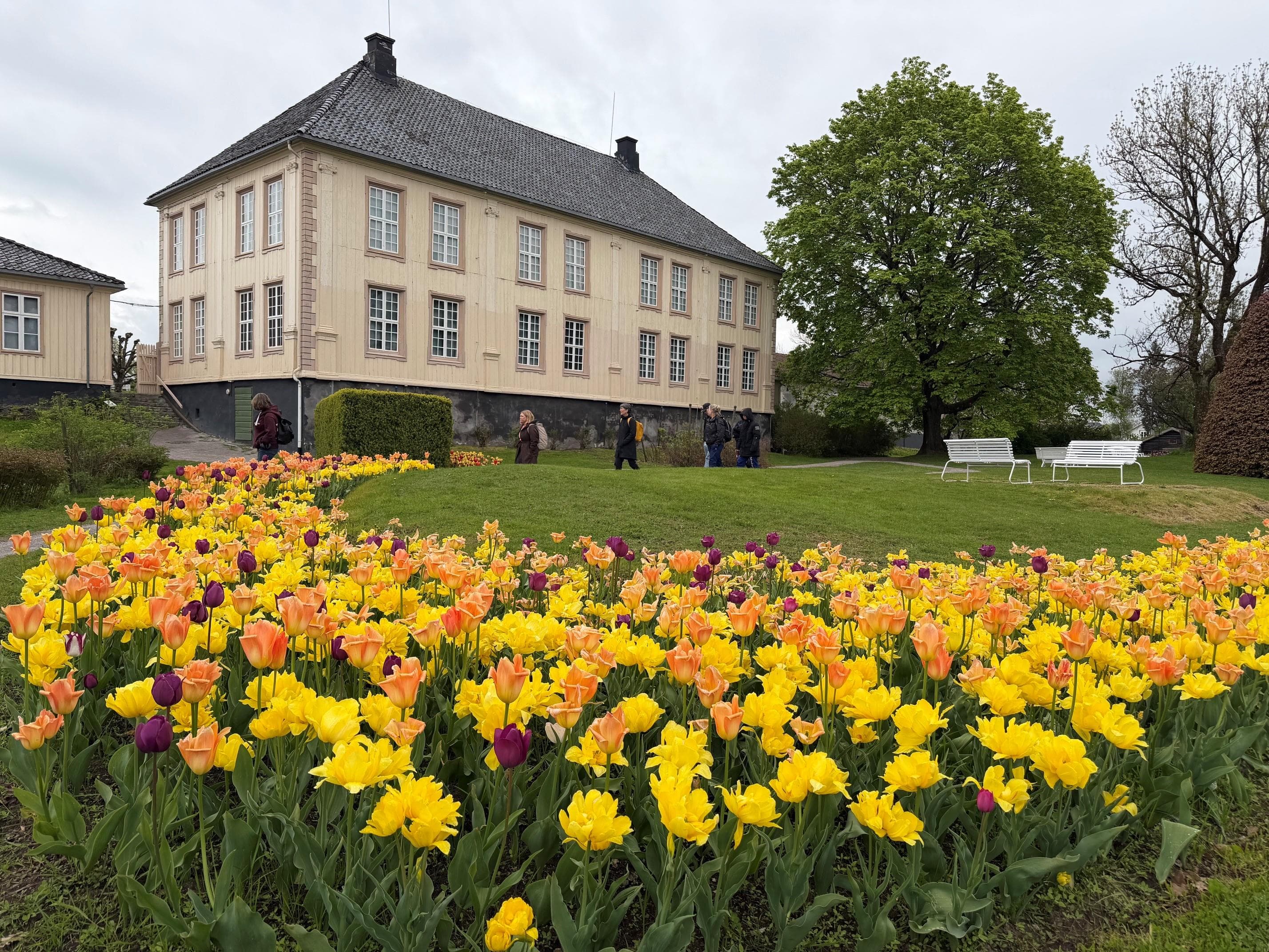 Hovedbilde