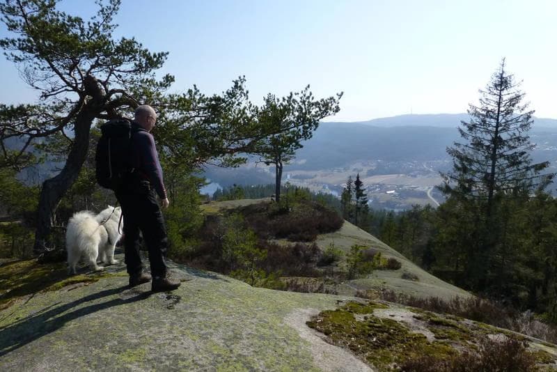 Hovedbilde