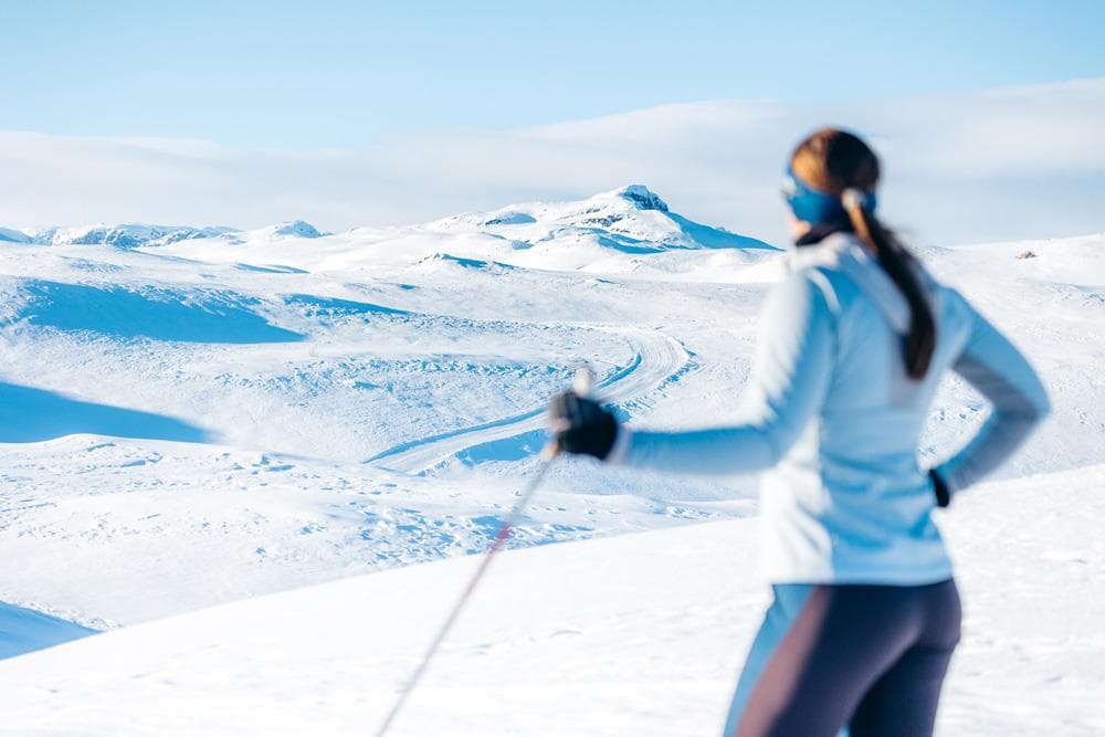 Hovedbilde