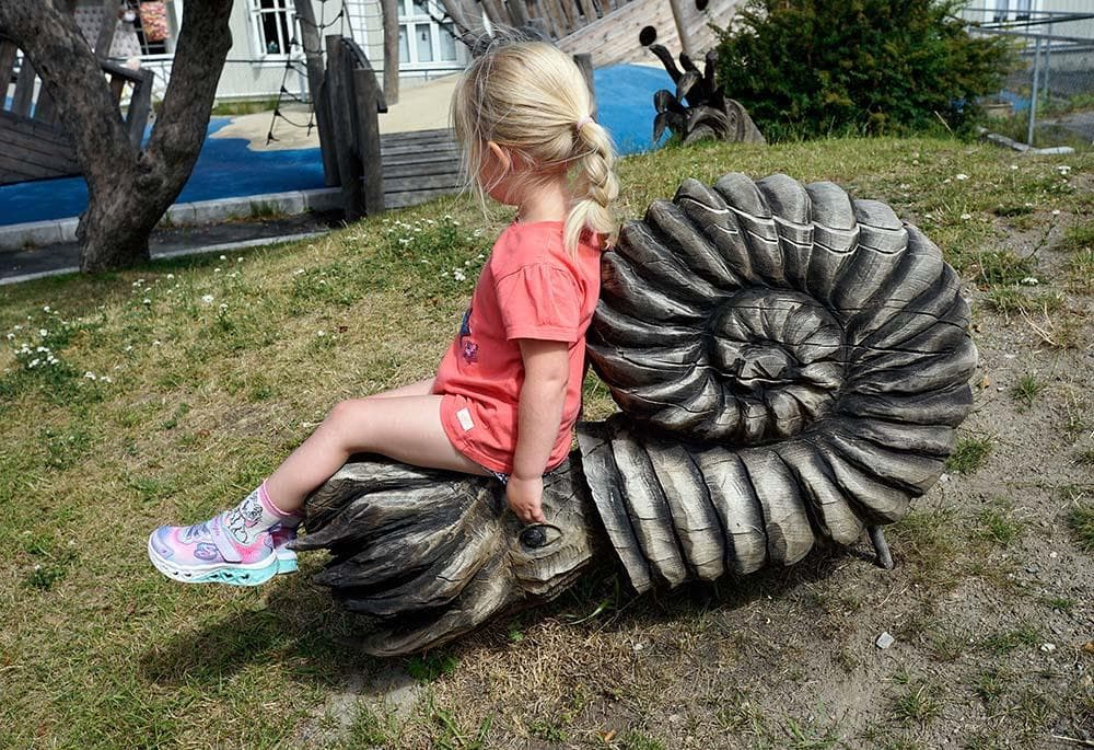 Hovedbilde
