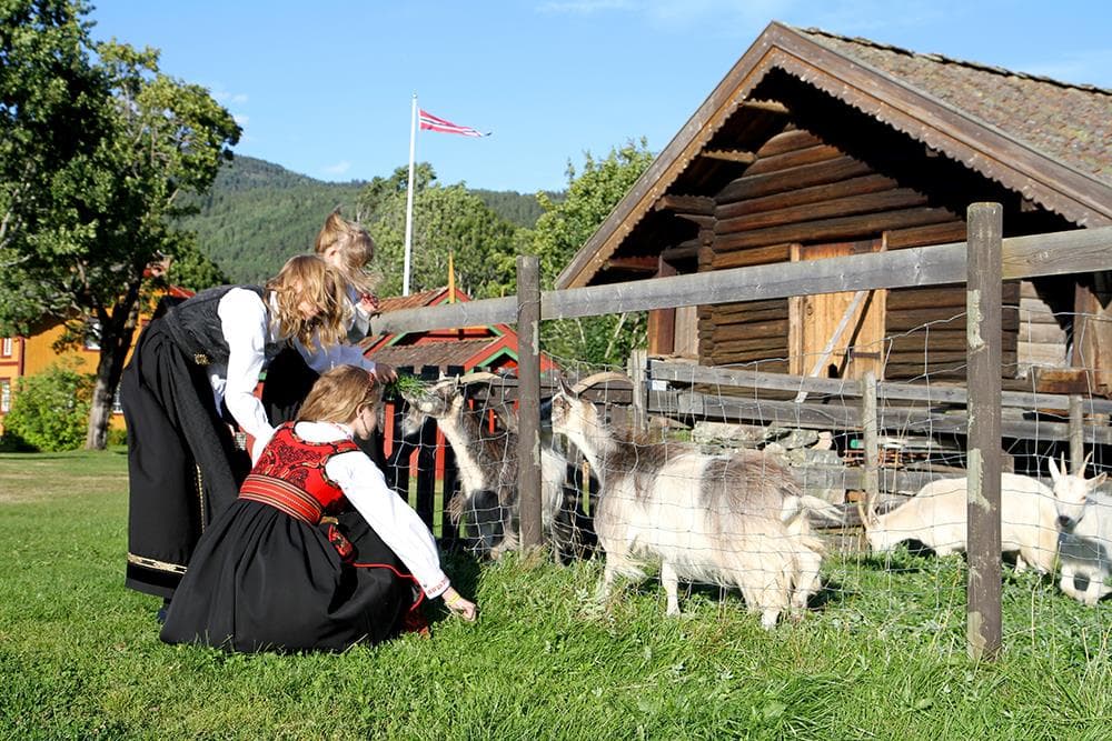 Hovedbilde