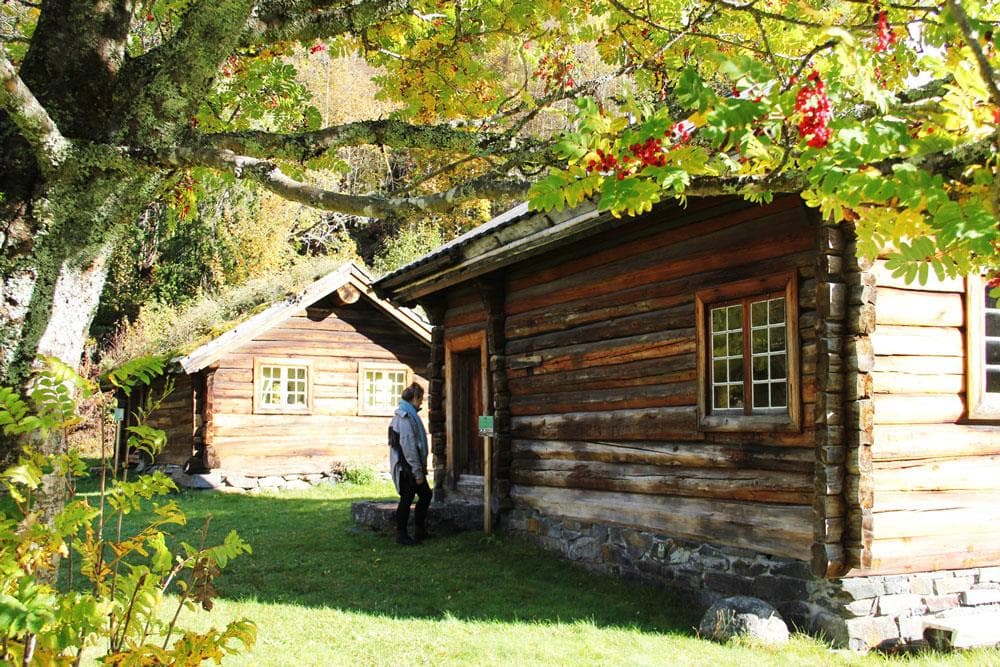 Hovedbilde