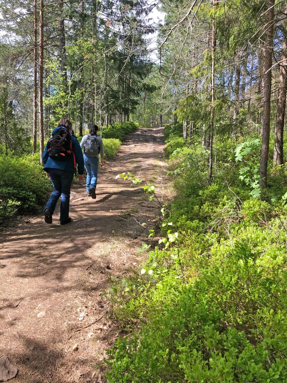 Hovedbilde