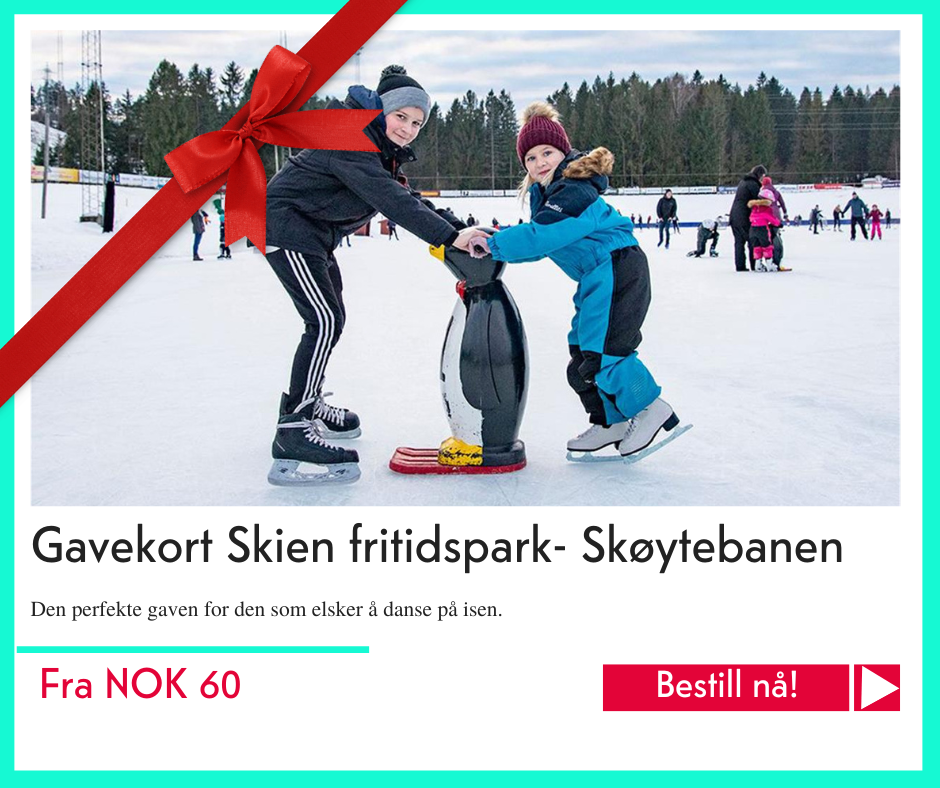 TELE - julegavetips 2022 - skøytebanen Skien fritidspark