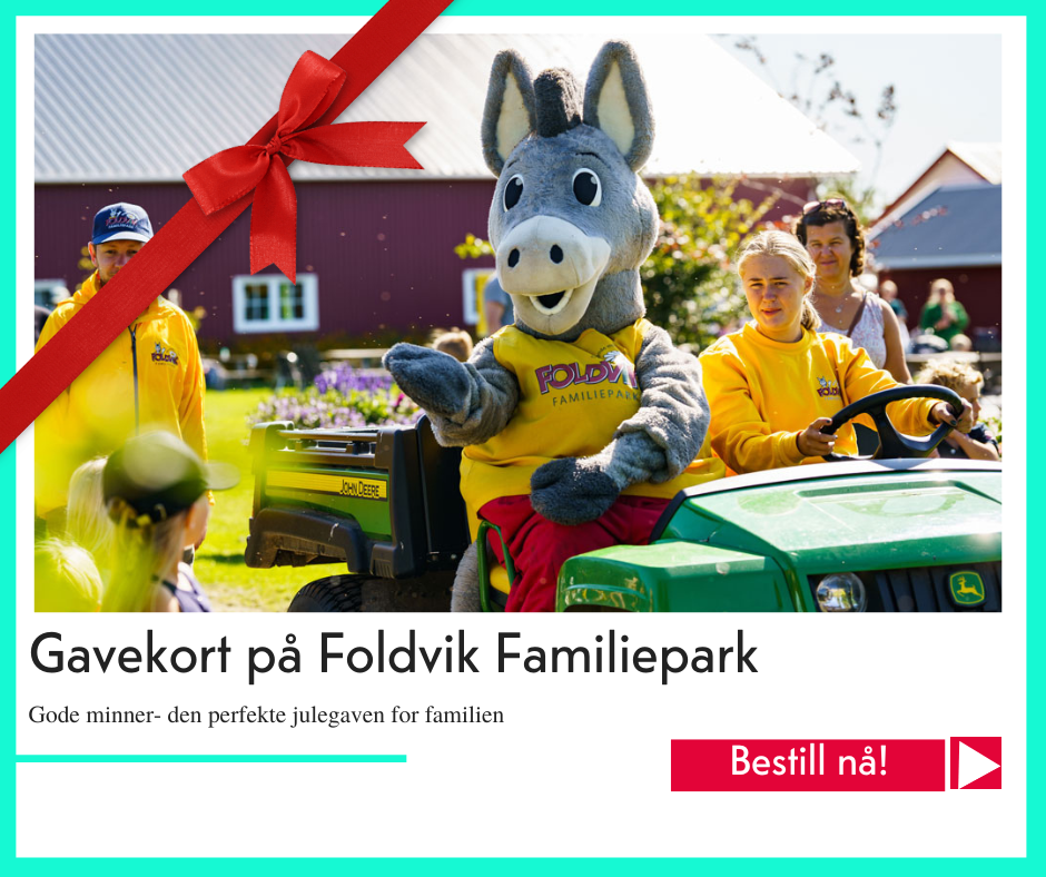 julegavekort fra Foldvik