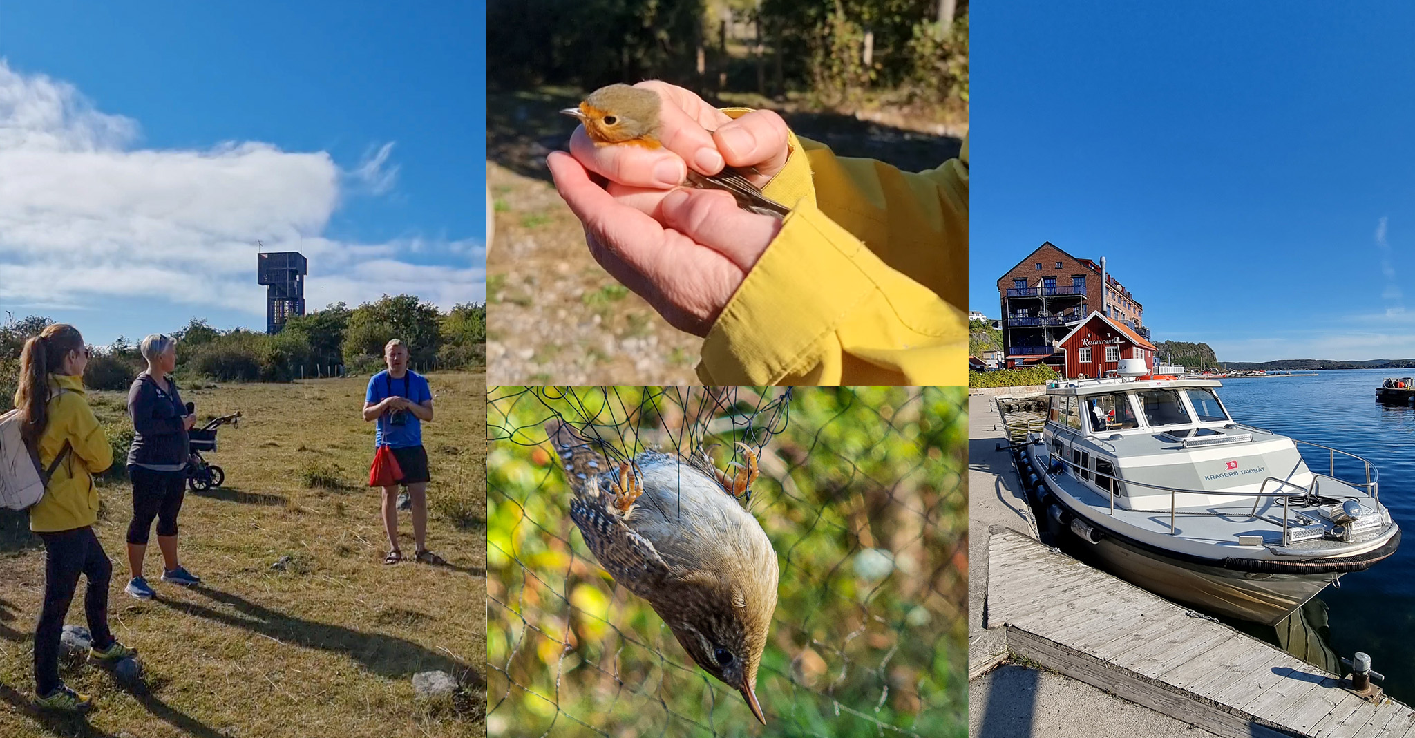 Bildecollage fra jomfruland fuglestasjon